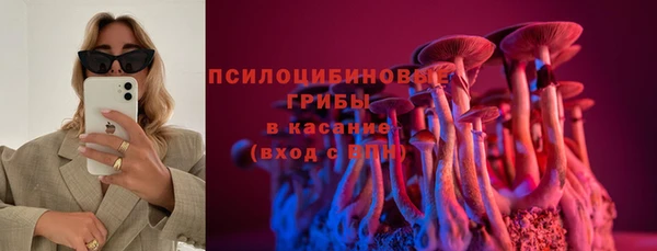 гашик Балахна