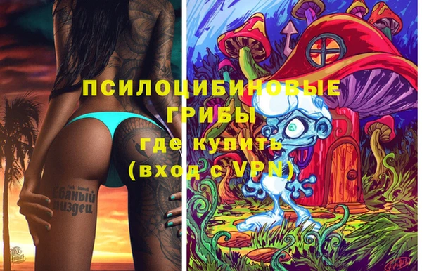 гашик Балахна
